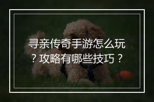 寻亲传奇手游怎么玩？攻略有哪些技巧？