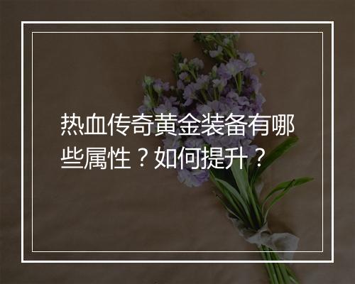 热血传奇黄金装备有哪些属性？如何提升？