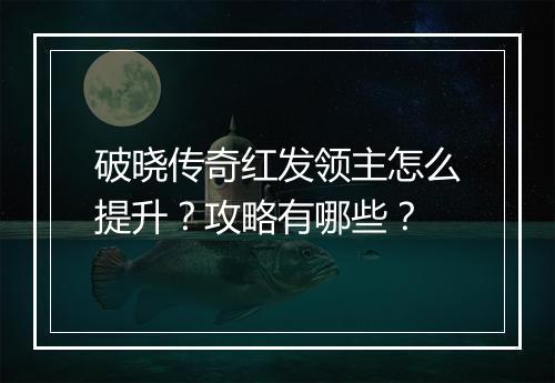 破晓传奇红发领主怎么提升？攻略有哪些？