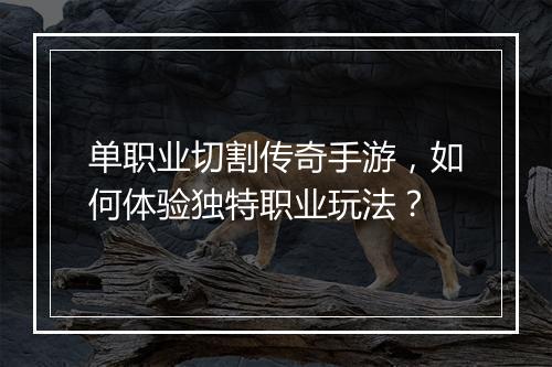 单职业切割传奇手游，如何体验独特职业玩法？