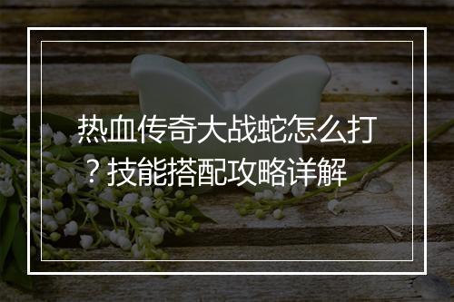 热血传奇大战蛇怎么打？技能搭配攻略详解