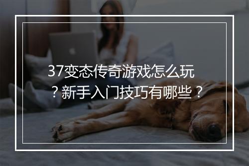 37变态传奇游戏怎么玩？新手入门技巧有哪些？