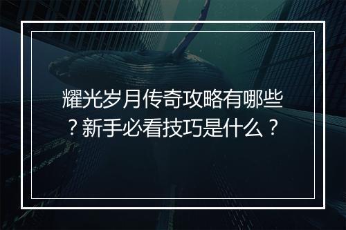耀光岁月传奇攻略有哪些？新手必看技巧是什么？