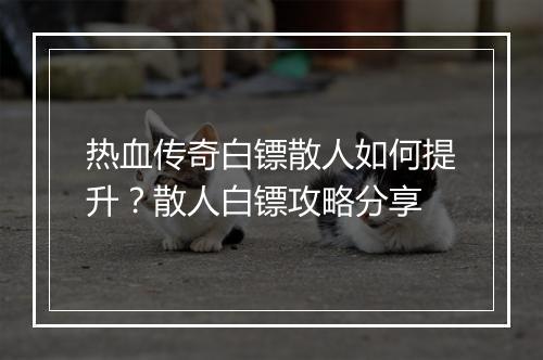 热血传奇白镖散人如何提升？散人白镖攻略分享