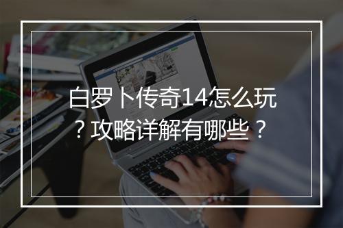 白罗卜传奇14怎么玩？攻略详解有哪些？