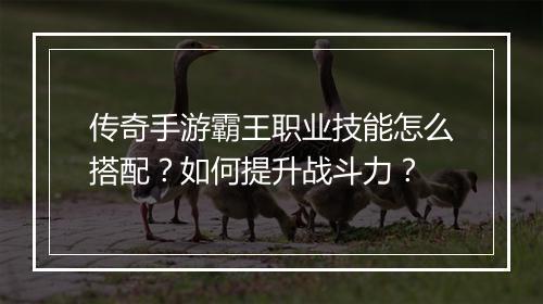 传奇手游霸王职业技能怎么搭配？如何提升战斗力？