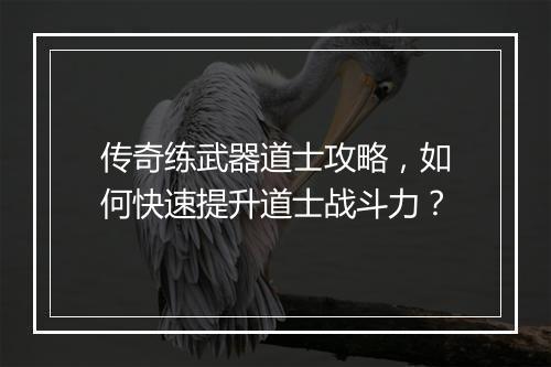 传奇练武器道士攻略，如何快速提升道士战斗力？