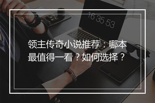 领主传奇小说推荐：哪本最值得一看？如何选择？