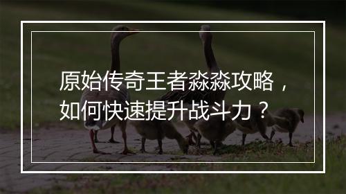 原始传奇王者淼淼攻略，如何快速提升战斗力？