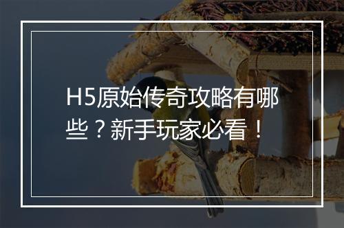 H5原始传奇攻略有哪些？新手玩家必看！