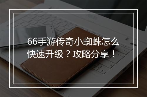 66手游传奇小蜘蛛怎么快速升级？攻略分享！