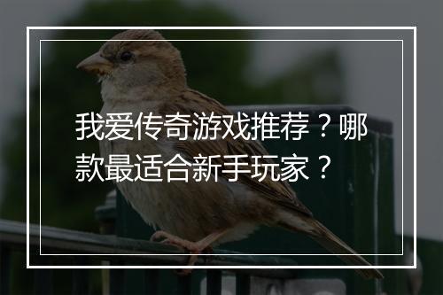 我爱传奇游戏推荐？哪款最适合新手玩家？