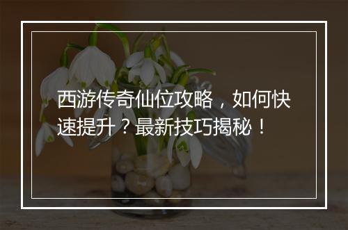 西游传奇仙位攻略，如何快速提升？最新技巧揭秘！