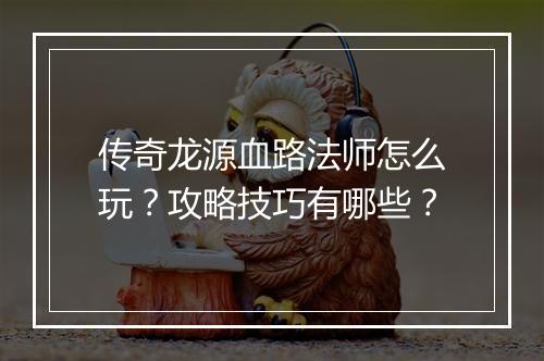 传奇龙源血路法师怎么玩？攻略技巧有哪些？