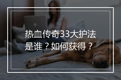 热血传奇33大护法是谁？如何获得？