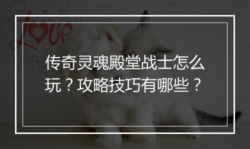传奇灵魂殿堂战士怎么玩？攻略技巧有哪些？