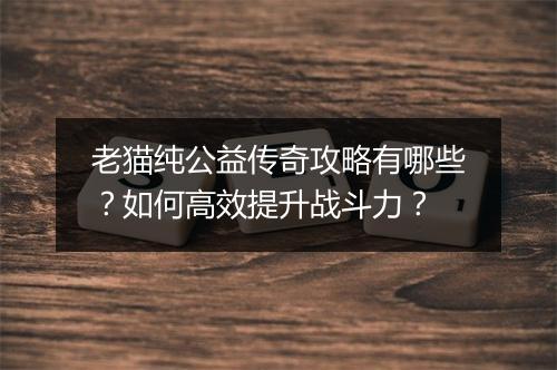老猫纯公益传奇攻略有哪些？如何高效提升战斗力？