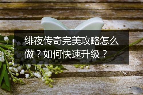绯夜传奇完美攻略怎么做？如何快速升级？