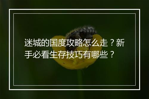 迷城的国度攻略怎么走？新手必看生存技巧有哪些？