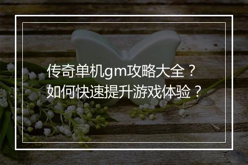 传奇单机gm攻略大全？如何快速提升游戏体验？