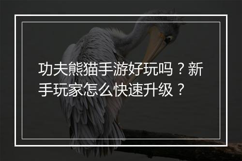 功夫熊猫手游好玩吗？新手玩家怎么快速升级？