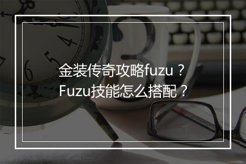 金装传奇攻略fuzu？Fuzu技能怎么搭配？