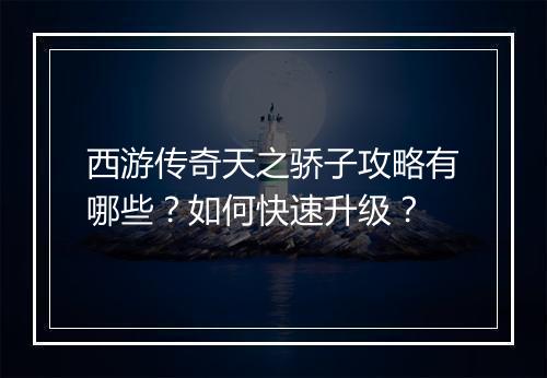西游传奇天之骄子攻略有哪些？如何快速升级？
