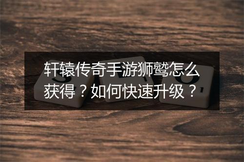 轩辕传奇手游狮鹫怎么获得？如何快速升级？