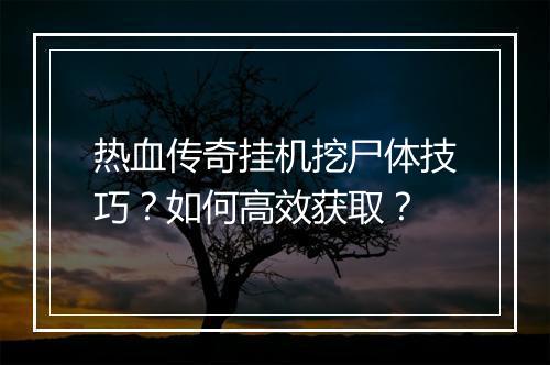 热血传奇挂机挖尸体技巧？如何高效获取？