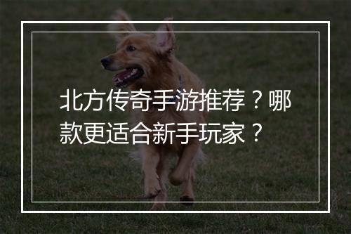 北方传奇手游推荐？哪款更适合新手玩家？