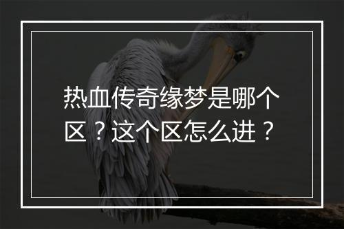 热血传奇缘梦是哪个区？这个区怎么进？