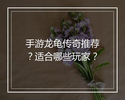 手游龙龟传奇推荐？适合哪些玩家？