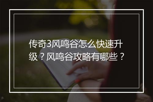 传奇3风鸣谷怎么快速升级？风鸣谷攻略有哪些？