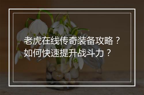 老虎在线传奇装备攻略？如何快速提升战斗力？