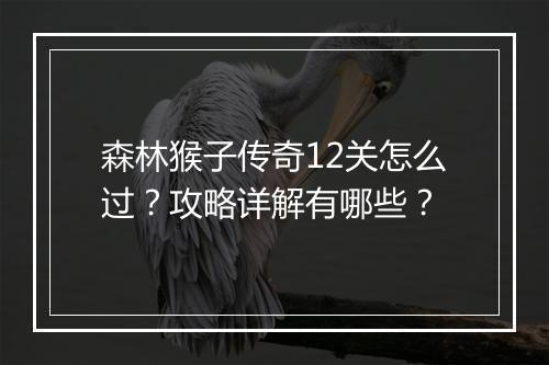 森林猴子传奇12关怎么过？攻略详解有哪些？