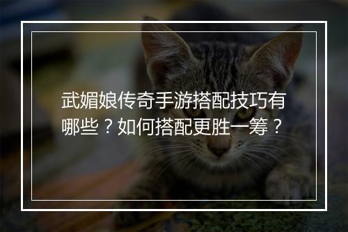 武媚娘传奇手游搭配技巧有哪些？如何搭配更胜一筹？