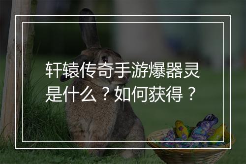 轩辕传奇手游爆器灵是什么？如何获得？