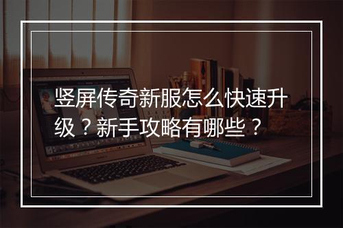 竖屏传奇新服怎么快速升级？新手攻略有哪些？