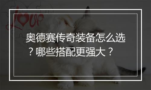奥德赛传奇装备怎么选？哪些搭配更强大？