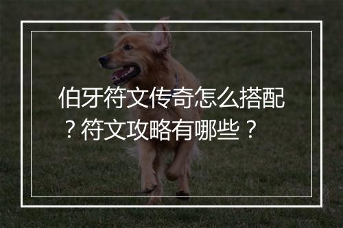 伯牙符文传奇怎么搭配？符文攻略有哪些？