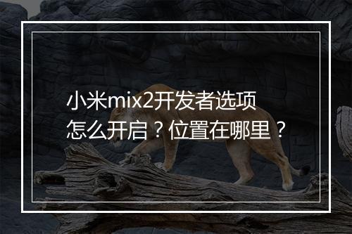 小米mix2开发者选项怎么开启？位置在哪里？