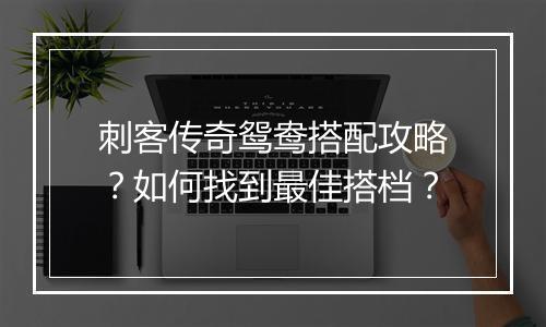 刺客传奇鸳鸯搭配攻略？如何找到最佳搭档？