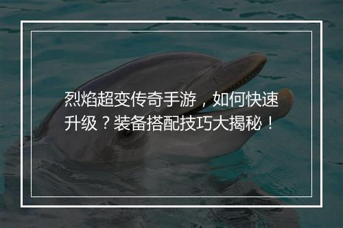 烈焰超变传奇手游，如何快速升级？装备搭配技巧大揭秘！
