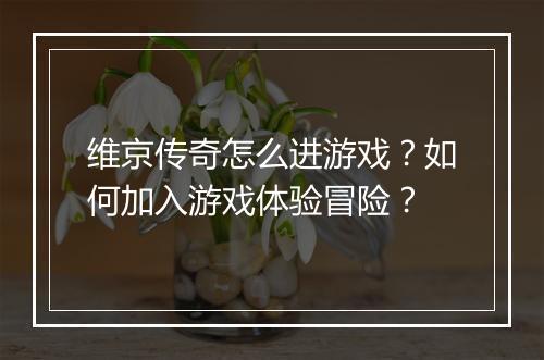 维京传奇怎么进游戏？如何加入游戏体验冒险？