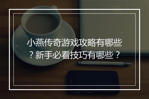 小燕传奇游戏攻略有哪些？新手必看技巧有哪些？