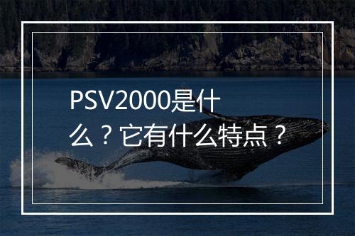 PSV2000是什么？它有什么特点？