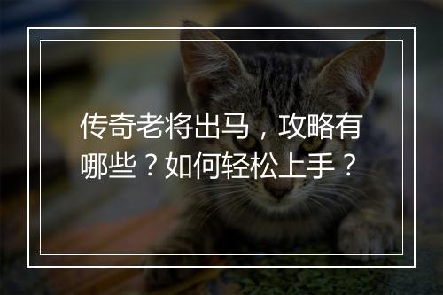 传奇老将出马，攻略有哪些？如何轻松上手？
