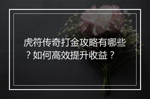 虎符传奇打金攻略有哪些？如何高效提升收益？