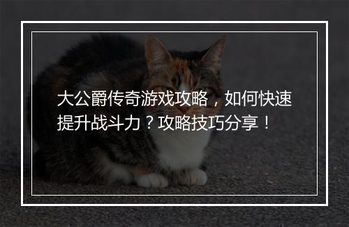 大公爵传奇游戏攻略，如何快速提升战斗力？攻略技巧分享！