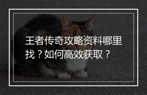 王者传奇攻略资料哪里找？如何高效获取？